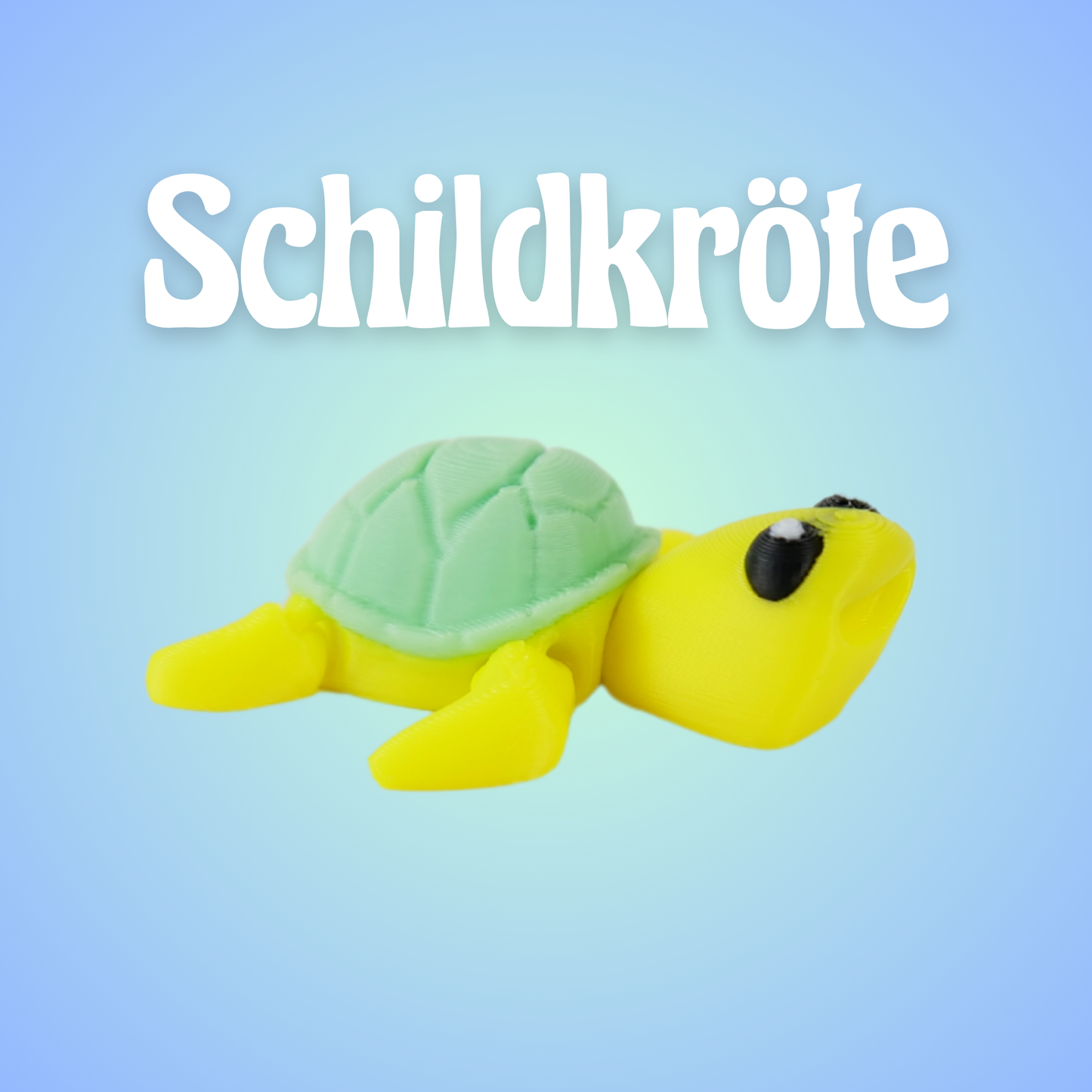 tortoise