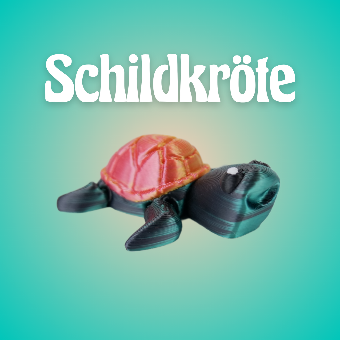 tortoise
