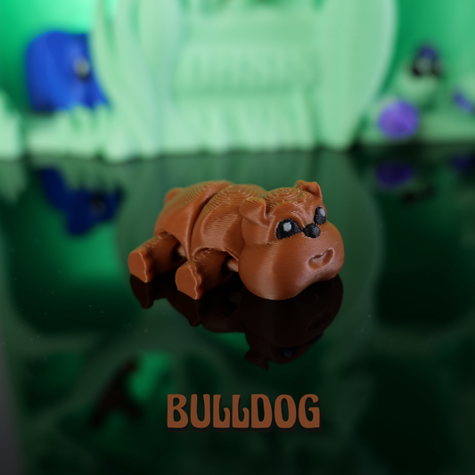 Oasis-Bulldog-Braun*Classic-Edition