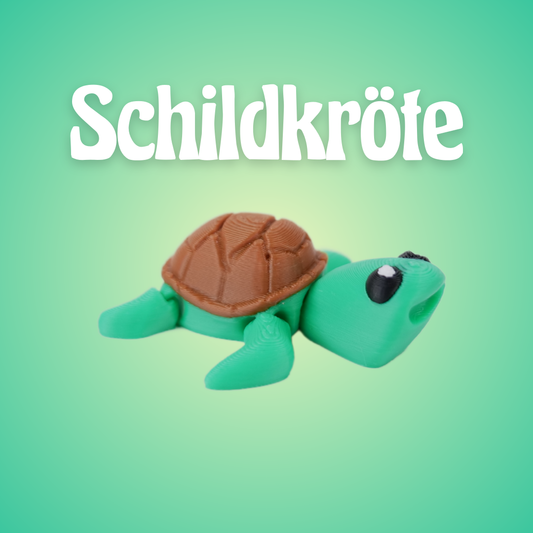 tortoise