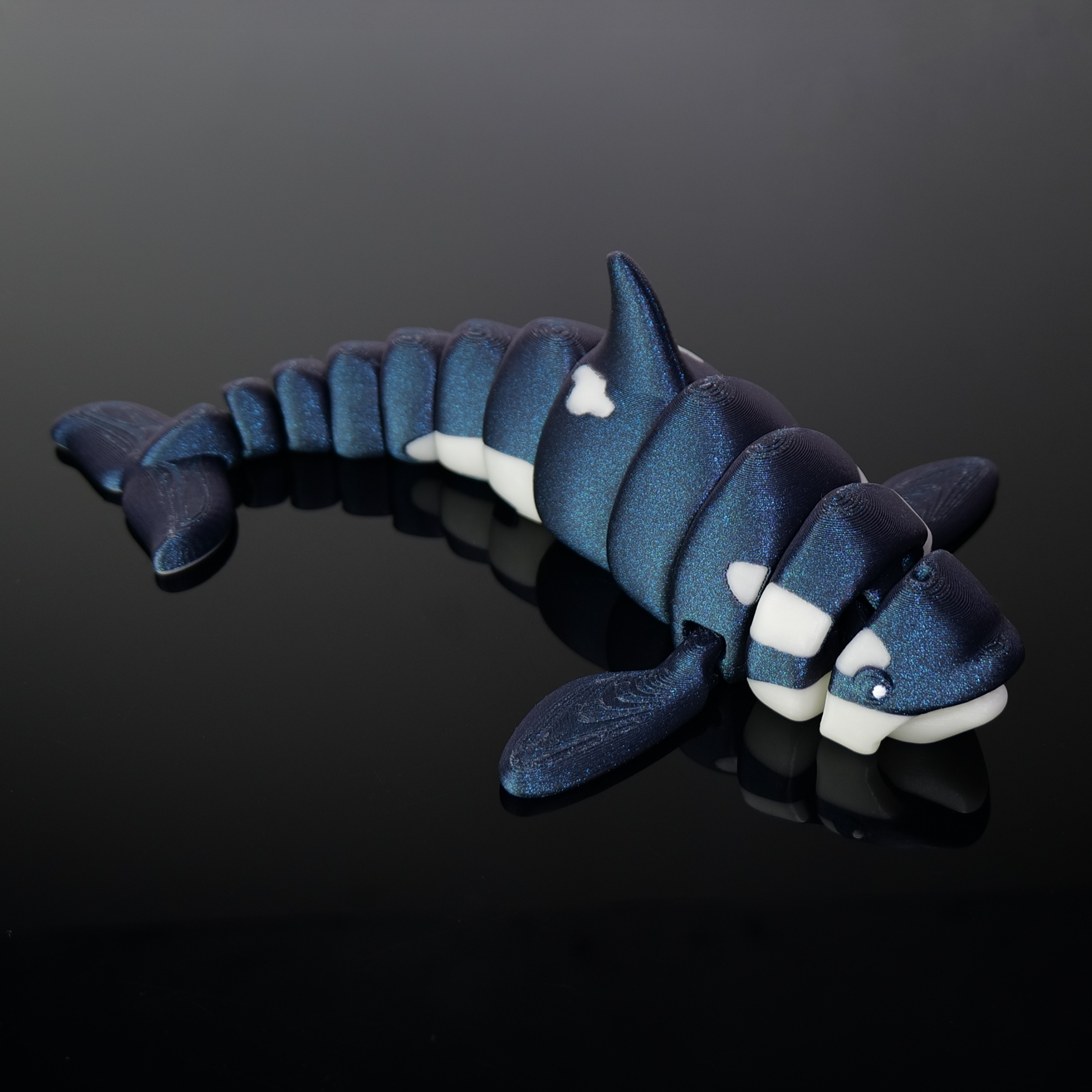 Orca*Galaxy