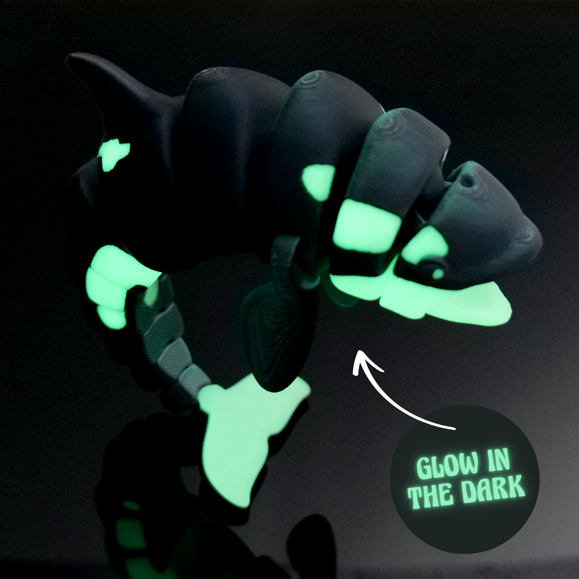 Orca*Special-Gruen-Schwarz