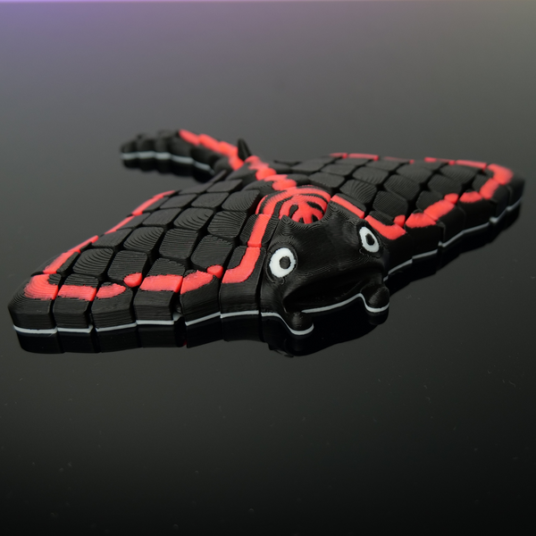 Manta Ray