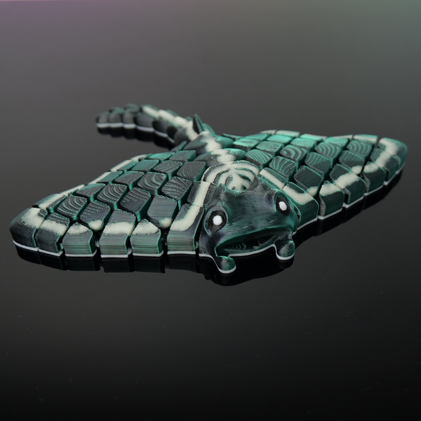 Manta Ray