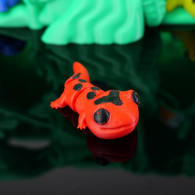 Rot